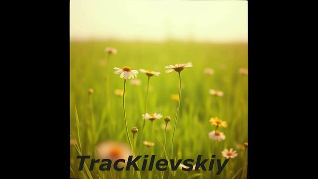 TracKilevskiy - Дэнс-поп транс 2