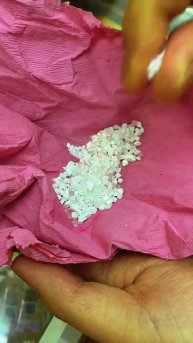 2025-11-23T01:48:29.490Z