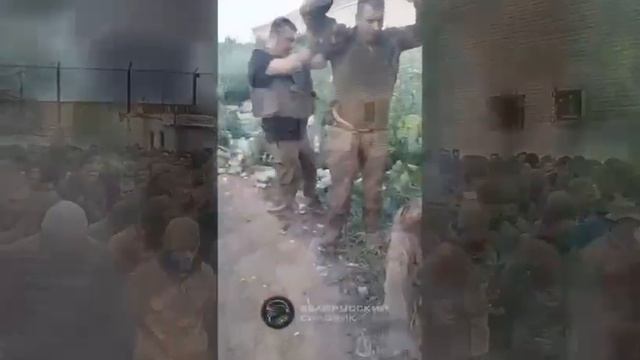 Вам не видать "упоротым" победы!