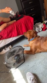 Не зря боялся