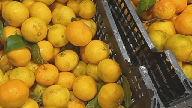 В Светофоре Падают цены👍Такого давно не было ❗Обзор товаров и продуктов питания в магазине