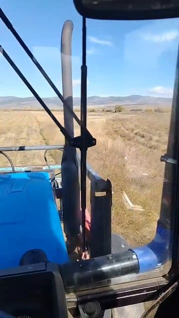 Трактор🚜 Беларус МТЗ-82 сенокос