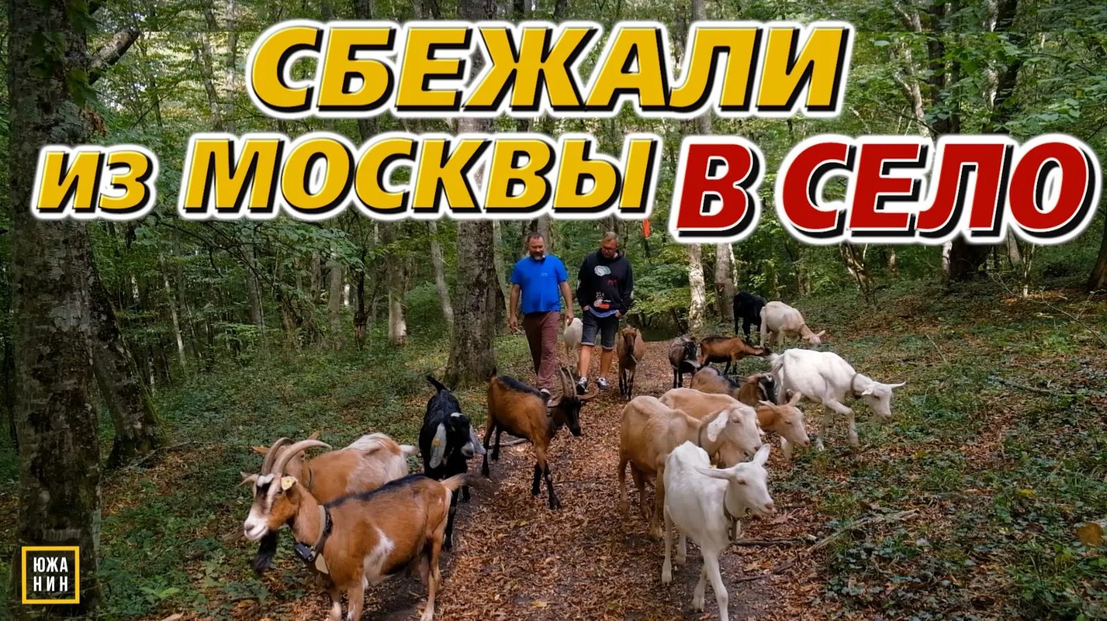 Как врачи стали сыроделами. Плюсы и минусы в российской глубинке.