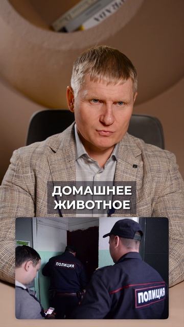 ВОТ ПОЧЕМУ владельцы собак рискуют попасть под штрафы! #питомцы #жкх #закон