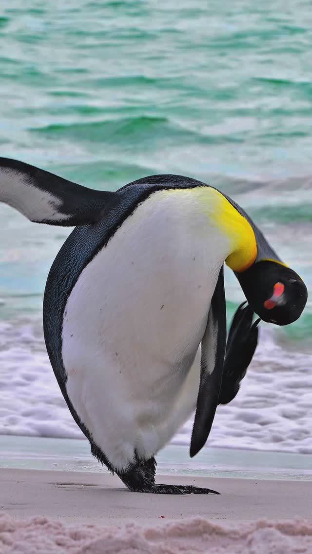 На Южном курорте)))