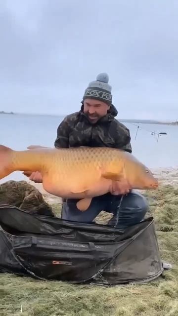 Вот это паровоз! Такой красавец — мечта каждого рыбака!