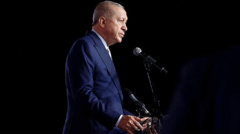 Эрдоган сообщил о планах провести телефонные переговоры с Путиным 24 ноября