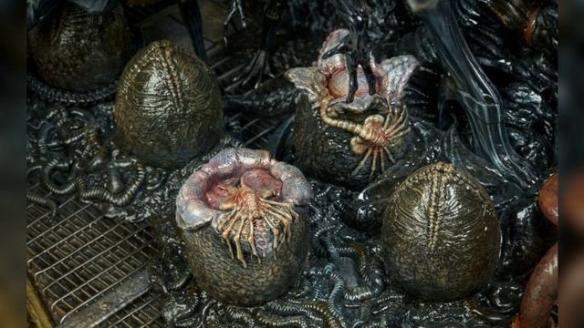 ЭТОТ ЦИРК ВСЕВЫШНИЙ НЕ СЛЫШИТ