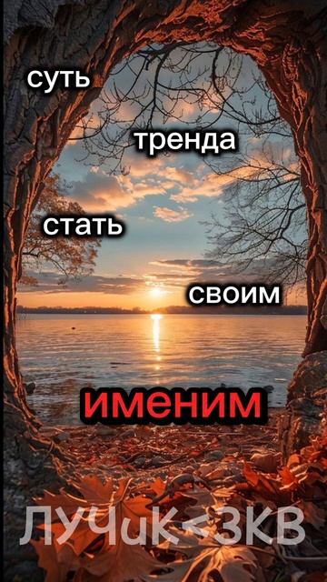 кушате трендик)