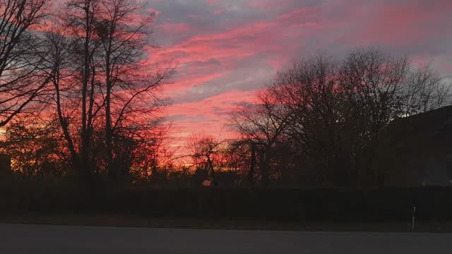 Несколько дней