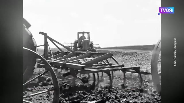 Тракторист Леонид Сенников