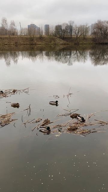 Тишина и спокойствие момента здесь и сейчас
