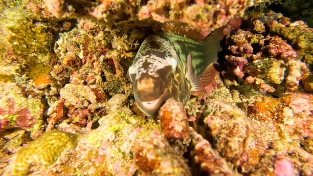 Красоты ночного моря