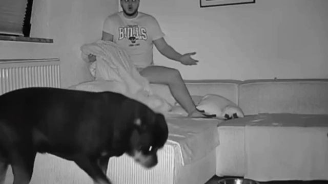 Легкое напоминание, что покормить забыл😱😂