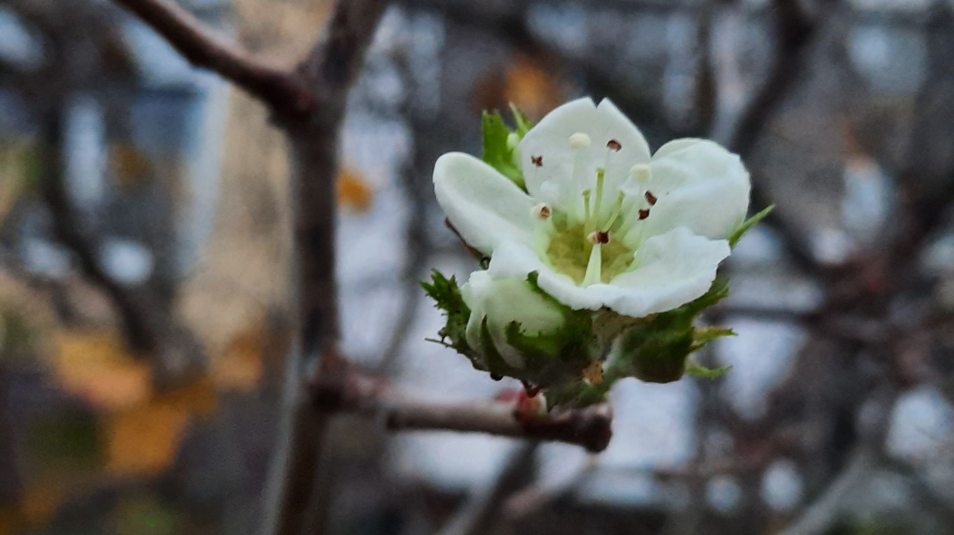 МУЖЧИНА КАК РЕСУРС