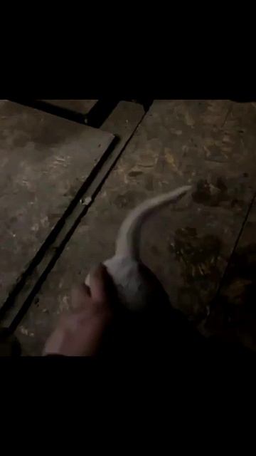 Боевой дружок спасает наших бойцов на передовой  👍🚀