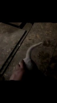 Боевой дружок спасает наших бойцов на передовой 👍🚀