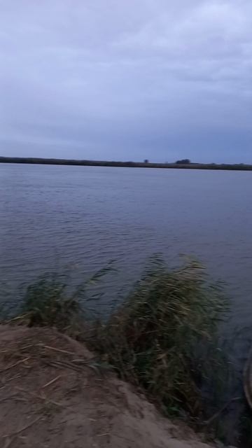 рыбалка в Астрахани