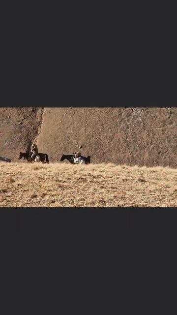 трофейная охота в горах