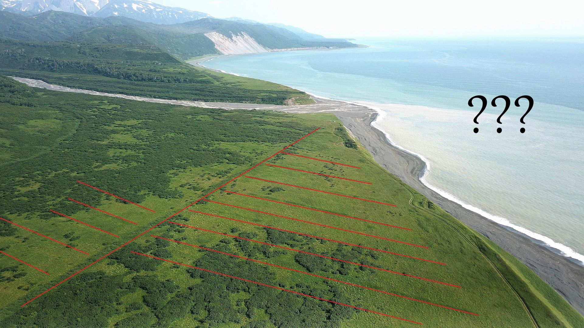 загадка прошлого?