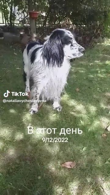 Все равно поймаю...)))