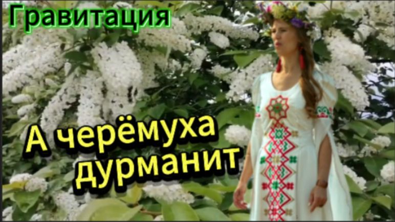 Душевная песня - А черёмуха дурманит...