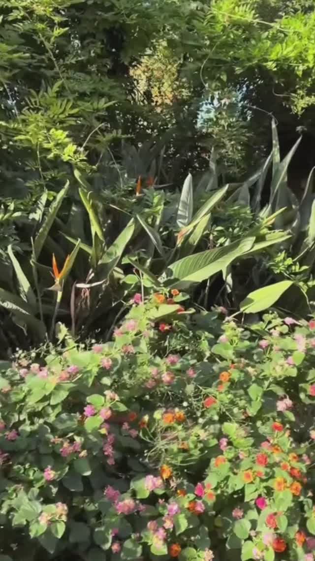 23 ноября ВОТ ТАКАЯ ЗИМА В АЛАНИИ. ТУРЦИЯ 2025.