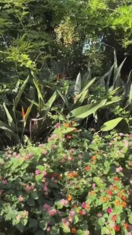 23 ноября ВОТ ТАКАЯ ЗИМА В АЛАНИИ. ТУРЦИЯ 2025.