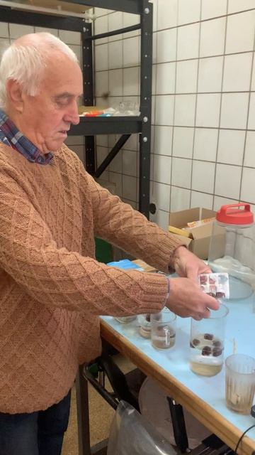 Электрические рыбы