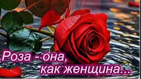 Роза - она как женщина!