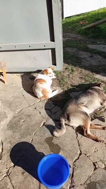 У нас сегодня выпал второй раз снег. А где- то ещё солнечная осень