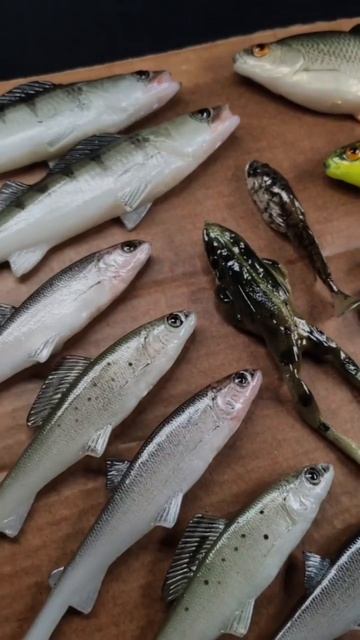 Сделаны, чтобы соблазнить даже самого ленивого хищника. Ну а если нет —  хоть глаз порадуется