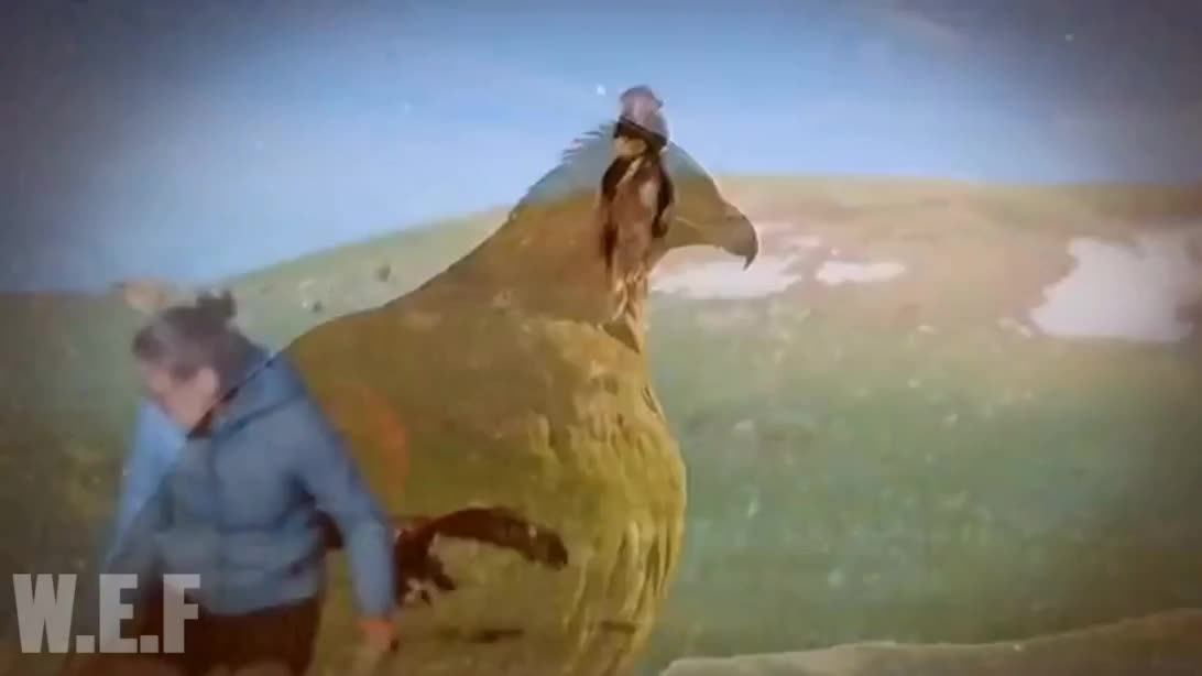 БЕРКУТ Властелин небес Реальный сюжет Документальный фильм о хищных птицах