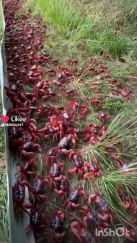 # выходные # будни#😂# обовсемнасвете #рекомендации #тренды #