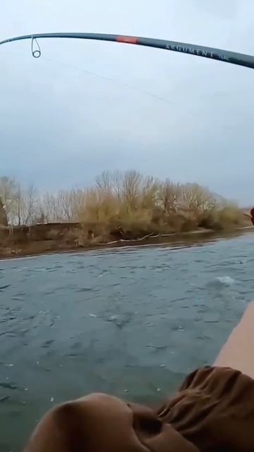 "Струя, силикон и чуточку везения — и отличный жерешок готов к фотосессии.