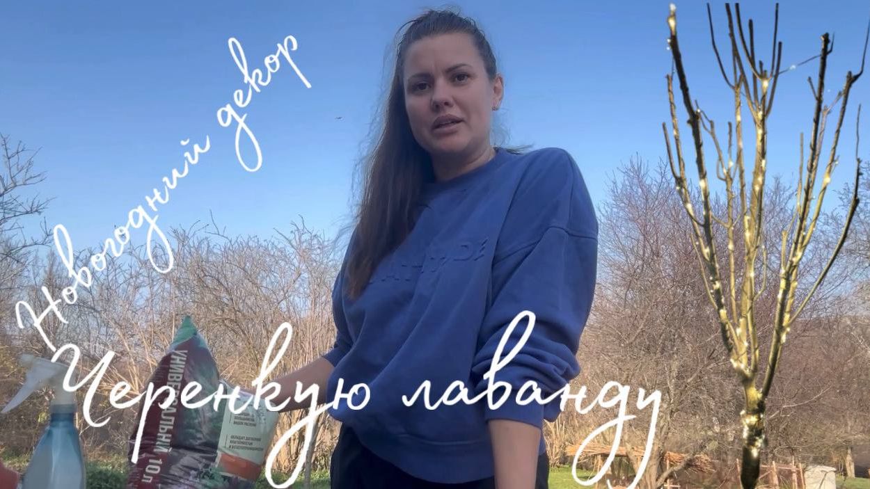 #30 УЕХАЛИ ИЗ ЛАТВИИ В РОССИЮ_ЧЕРЕНКУЮ ЛАВАНДУ_НОВОГОДНЕЕ УКРАШЕНИЕ_ФАСАД