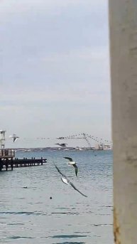 нас погода не радует