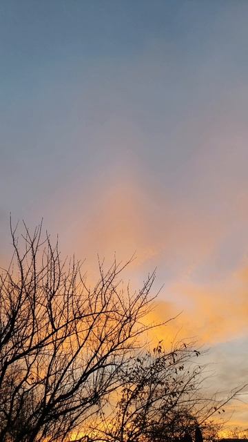 23.11.2025 #сегоднятак #природа #прырода #табиғ #自然 #natureza #natura #자연 #طبيعة #प्रकृति #nature