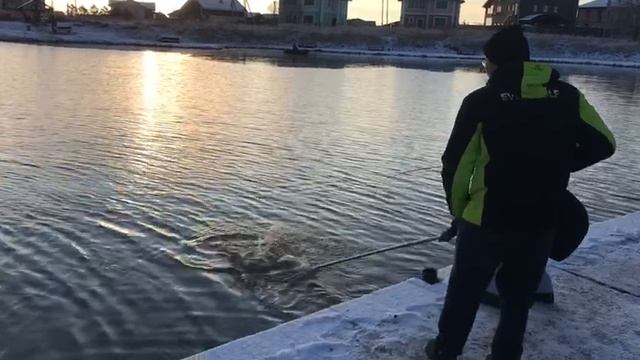 поимка форели на спиннинг