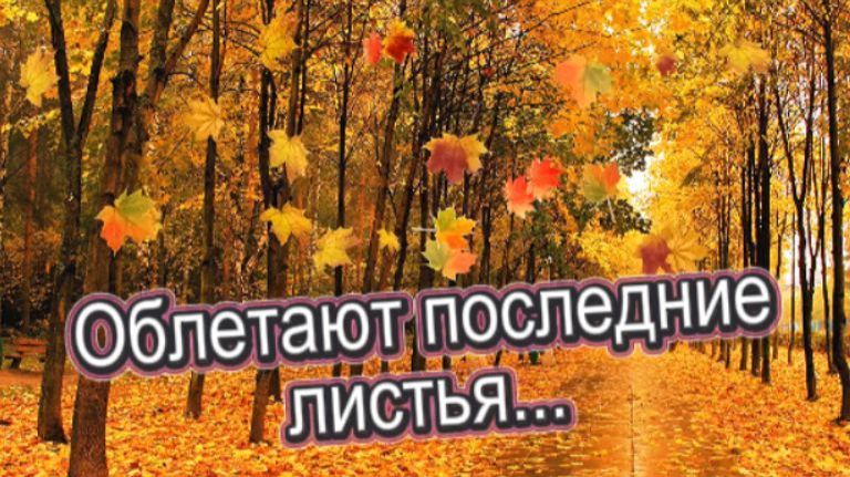 Стихи для души! Облетают последние листья...