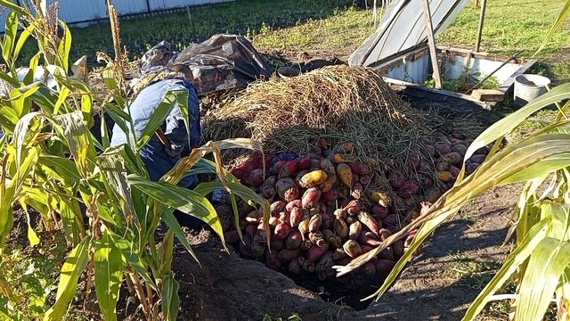 Кролики 88 ...