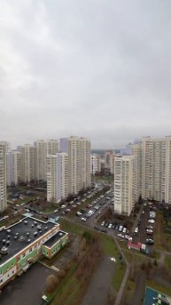 Когда соседи друзья