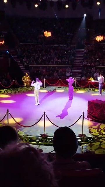 Шоу Воды Огня и Света Брянский цирк