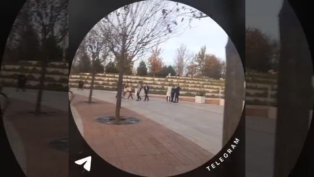 Гуляю в Парке Галицкого! #парккраснодар #паркгалицкого #краснодар #краснодарскийкрай #парк