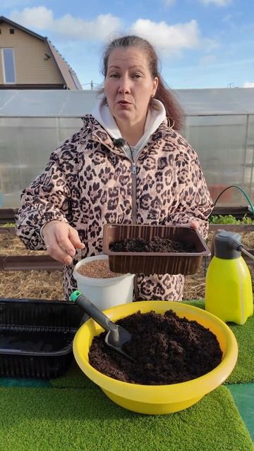 КАК ВЫРАСТИТЬ ТРАВУ ДЛЯ КОШЕК - КАКУЮ ВЫБРАТЬ ДЛЯ ПОСЕВА