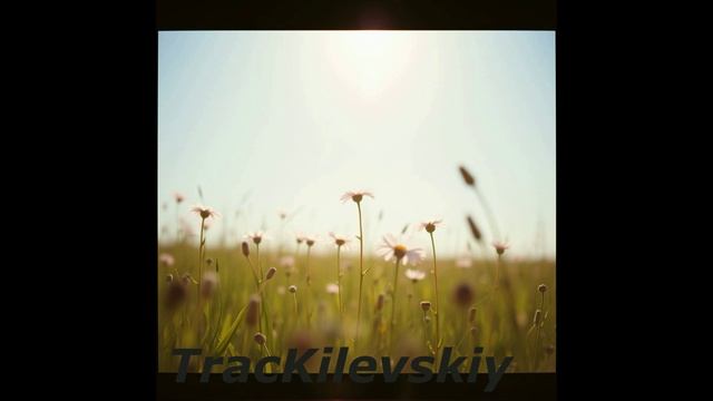 TracKilevskiy - Дэнс-поп транс
