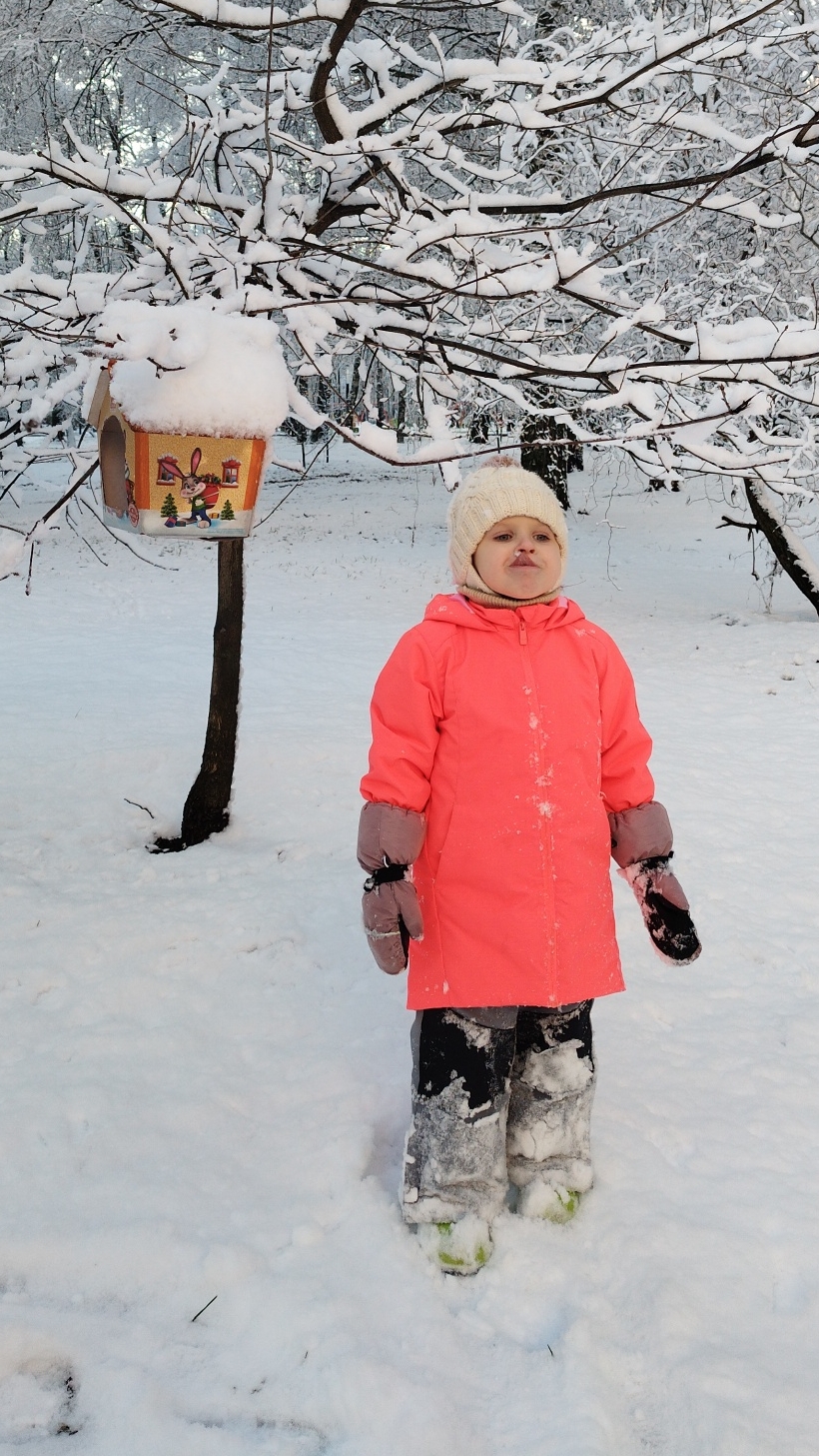Осенний снежный день ❄️☃️