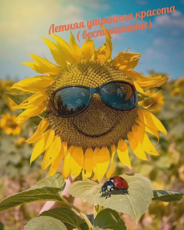 23 ноября. Доброе утро.
Всю ночь шел дождь! 
По прогнозу погоды в 11.00 выглянет солнышко!