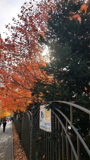 Краски осени в Краснодаре.