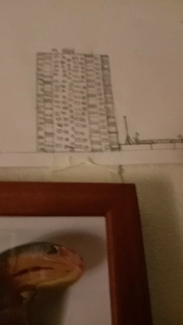 брежневка которую я вчера нарисовал